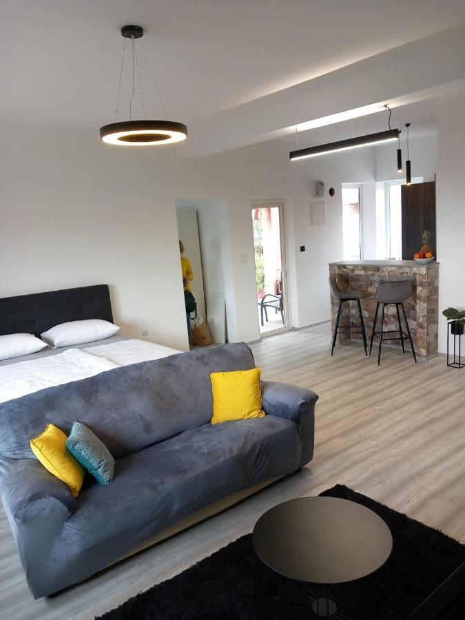Apartman Ani Rijeka Buitenkant foto